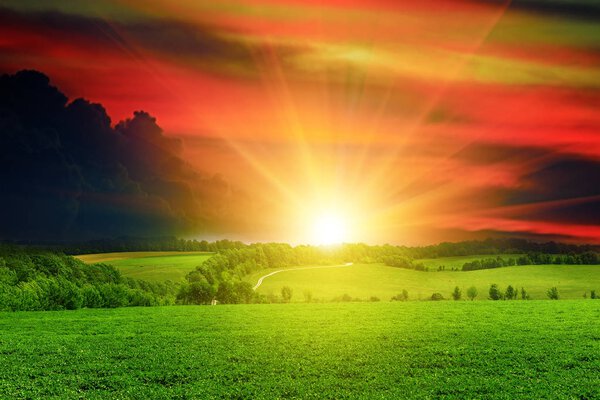 Beautiful sunset on green field