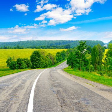 Alanlar arasında kırsal asfalt yol