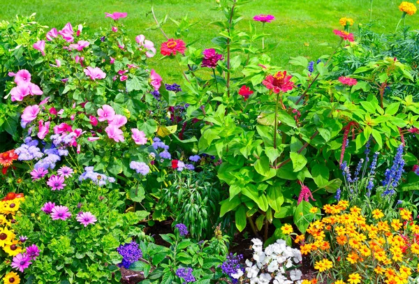 Blossoming flowerbeds in the park — Stock Photo, Image