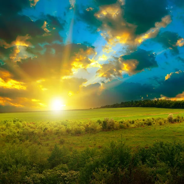 Яскравий захід сонця на весняному полі — стокове фото