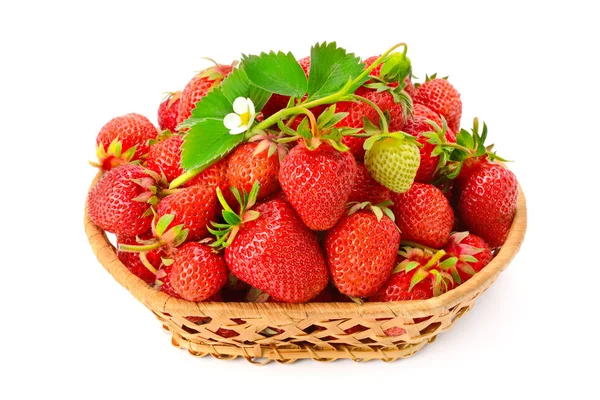 Ripe strawberries with flower in basket — Stock Photo, Image