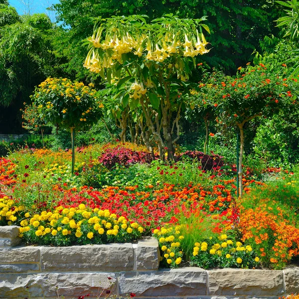 Färgstarka blommande blomma säng på sommaren park — Stockfoto