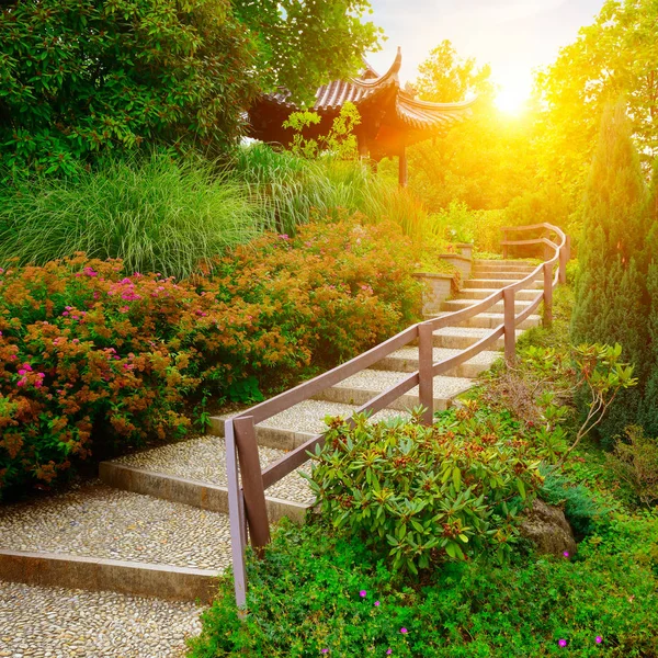 Escada de pedra no belo parque ao amanhecer — Fotografia de Stock