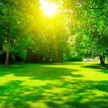 Sunrise yaz aylarında güzel park