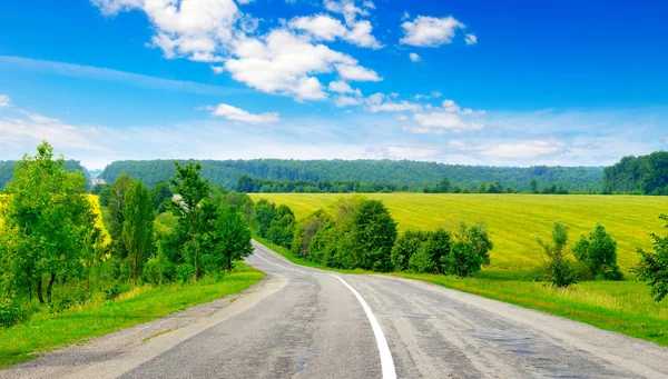 Rural paved road among fields — Stock Photo, Image