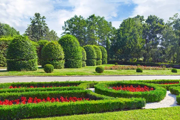 Lindo canteiro de flores e campos — Fotografia de Stock