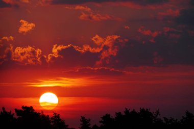 Epik günbatımı ağaçlar üzerinde