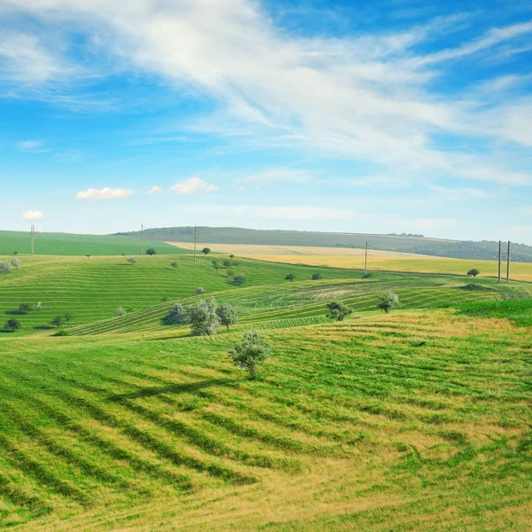 Hilly terrain with a terrace and a blue sky — Stock Photo, Image