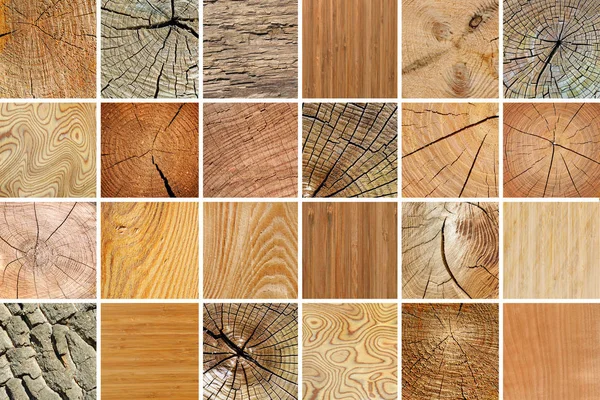 Большая коллекция различных деревянных текстур. Естественный фон . — стоковое фото