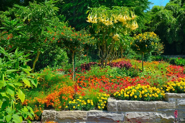 Fioritura variopinta aiuola al parco estivo — Foto Stock