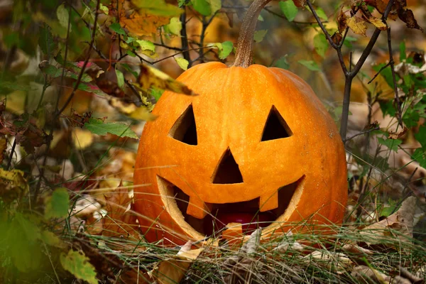 Calabaza de Halloween sobre hojas caídas de otoño con sonrisa en su cara — Foto de Stock