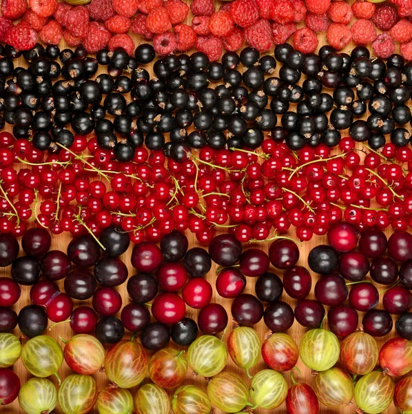 Collectie van diverse vruchten (krenten, kruisbessen, raspberrie — Stockfoto