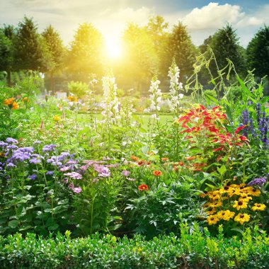 Çok renkli flowerbed Park.