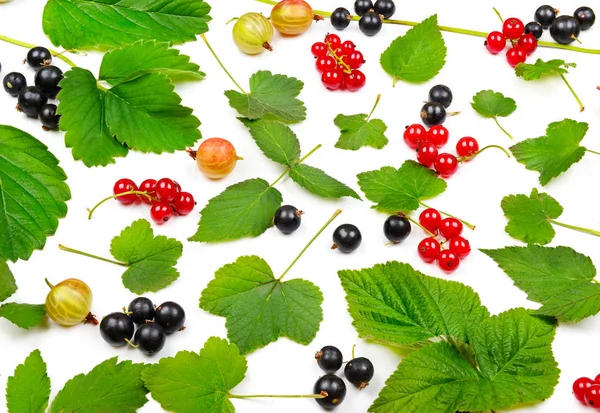 Black and red currants, gooseberries and leaves isolated on whit — Stock Photo, Image