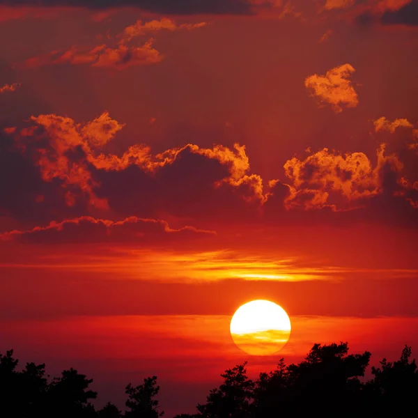 Epischer Sonnenuntergang über Bäumen — Stockfoto