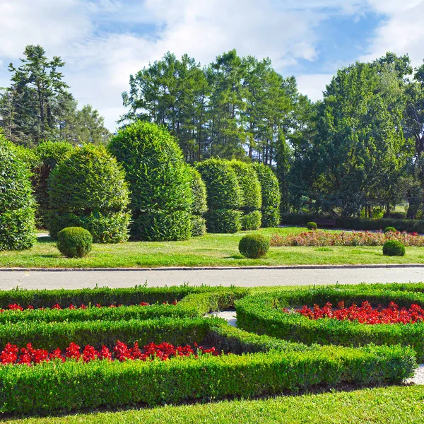 Belo canteiro de flores no jardim botânico de Kiev . — Fotografia de Stock