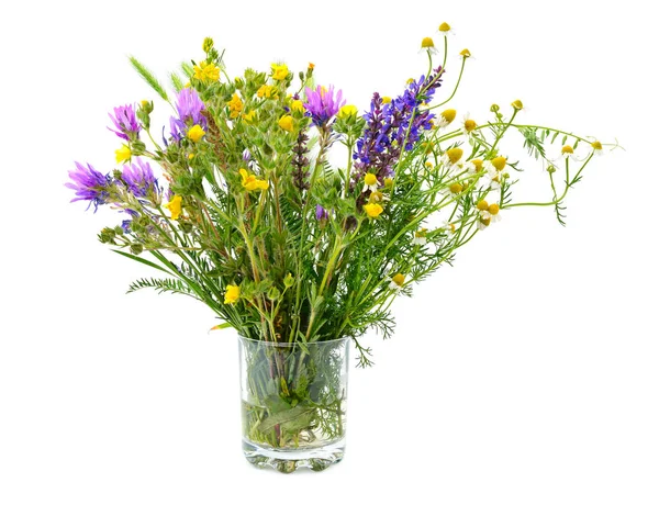 Variété de fleurs sauvages dans un verre isolé sur blanc — Photo