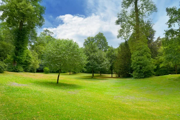Bonito prado coberto com grama no parque — Fotografia de Stock