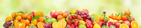 緑の背中に skinali のために新鮮な果物のパノラマ ワイド写真 — ストック写真