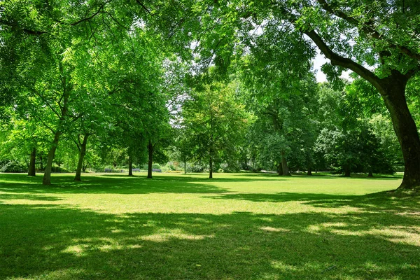 Belo prado no parque — Fotografia de Stock