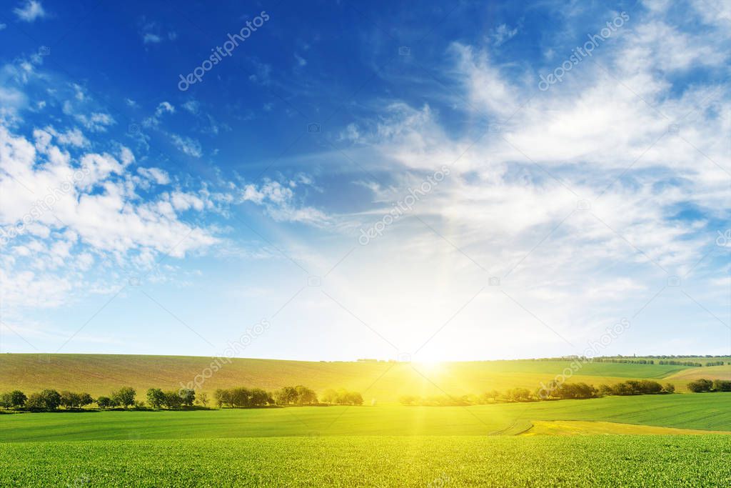 Bright dawn over corn field.