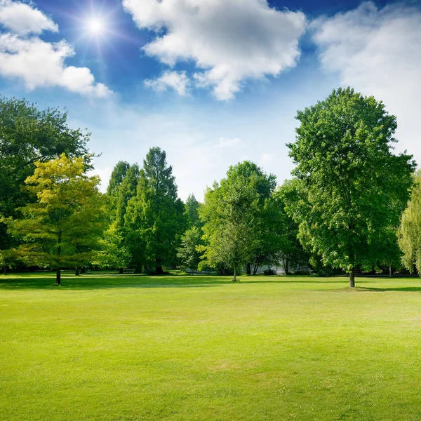 Jasne lato słoneczny dzień w parku z zieloną trawą i drzewami. — Zdjęcie stockowe