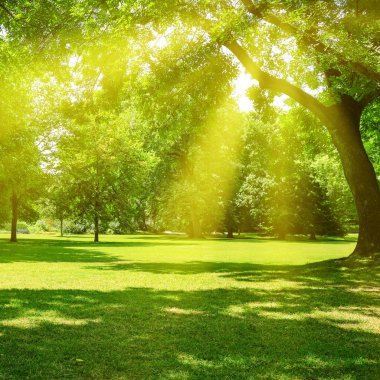 Sunrise güzel Park