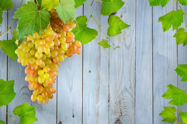 Букет висит виноград с зелеными листьями на фоне света — стоковое фото