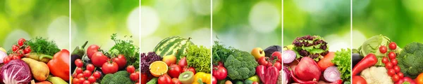 Collage frutta e verdura divise linee verticali su na verde — Foto Stock