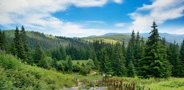 Picturesque landscape in Carpathians. — Stock Photo, Image