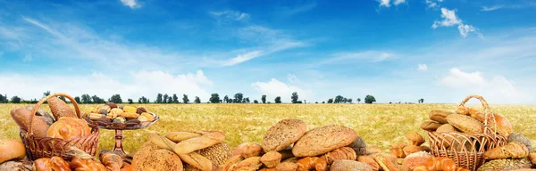 Panoramic photo freshly baked breads on background wheat field. — Stok fotoğraf
