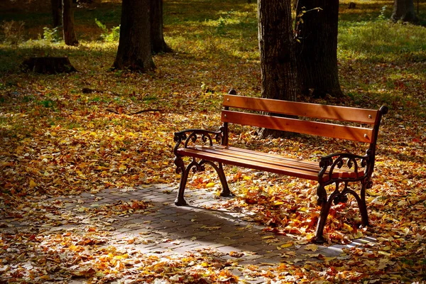 Krásná Zahradní Lavička Podzimním Parku Ozářená Sluncem Žluté Padlé Listy — Stock fotografie