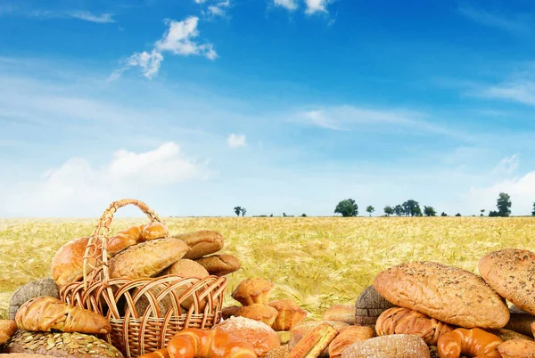 Pães Recém Assados Campo Trigo Fundo Espaço Cópia — Fotografia de Stock