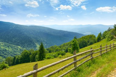 Ukrayna Karpatları 'nda dağ çayırları ve parlak mavi gökyüzü manzarası.