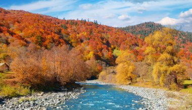 Parlak panoramik manzara Dağ nehir vadisi.