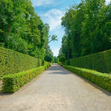 Almanya şehir parkında yüksek çitleri.