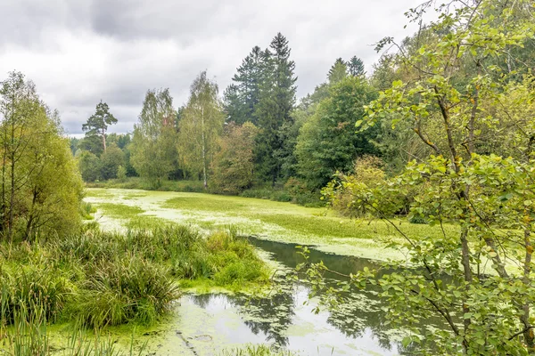 Rybník v podzimním lese — Stock fotografie