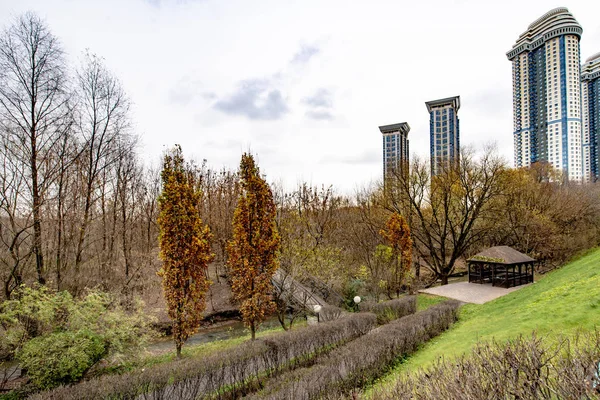 Flussufer Einem Park Mit Bäumen Einem Herbsttag — Stockfoto