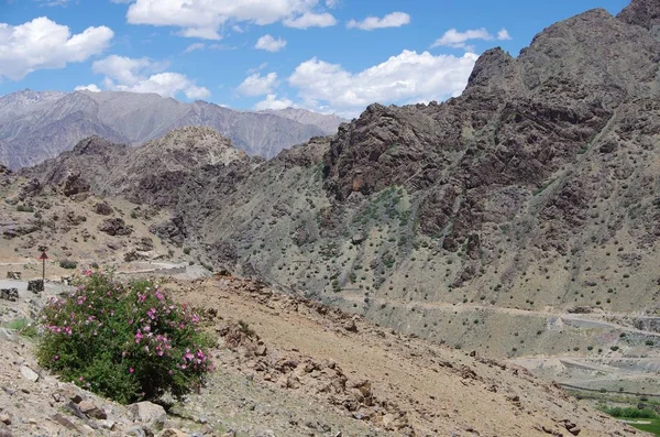 Paisagem perto de Kargil em Ladakh, Índia — Fotografia de Stock