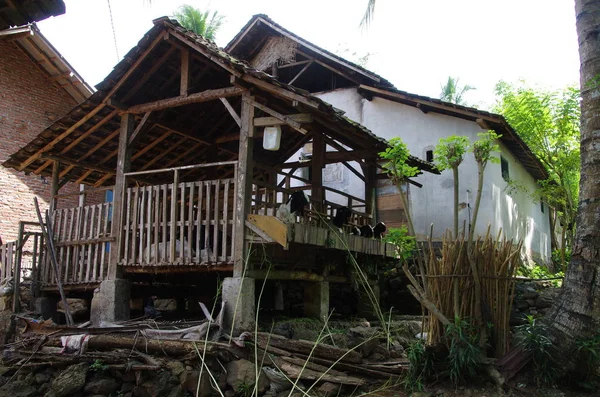 Παραδοσιακό Χωριό Στο Νησί Java Στην Ινδονησία — Φωτογραφία Αρχείου