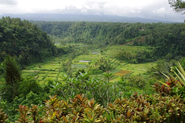 Paesaggio Rurale Sull Isola Bali Indonesia Sud Est Asiatico — Foto Stock