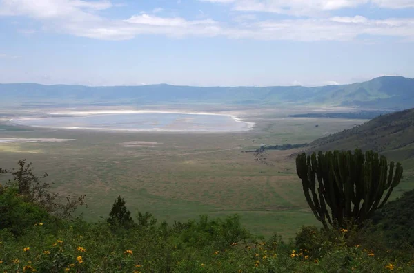 Vue Cratère Ngorongoro Tanzanie Afrique Est Images De Stock Libres De Droits