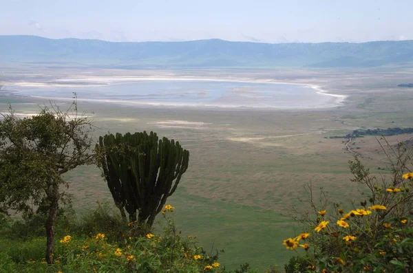Vista Cratera Ngorongoro Tanzânia África Oriental Imagem De Stock