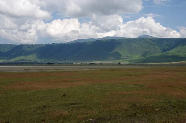 Landskap Ngorongoro Kratern Tanzania Royaltyfria Stockfoton