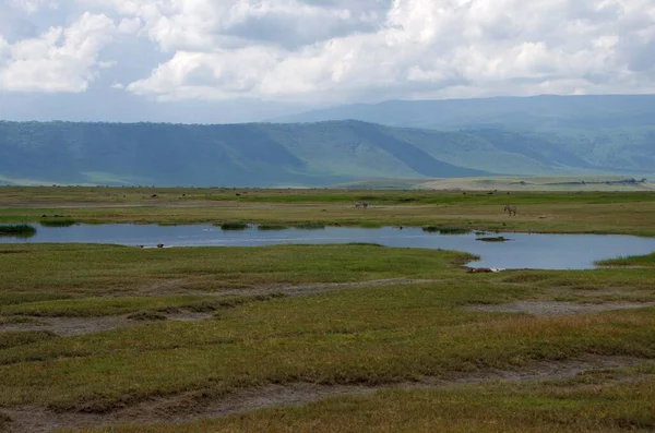 Landskap Ngorongoro Kratern Tanzania Stockfoto