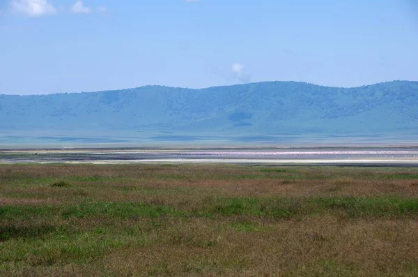 Landskap Ngorongoro Kratern Tanzania Stockbild
