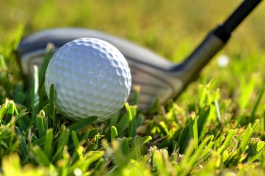  Bir golf topu ve sürücü yeşil fairway çim üzerinde kapatın