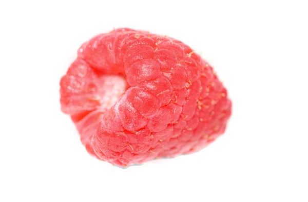 Macro shot of a single Raspberry on a white background — Stock Photo, Image