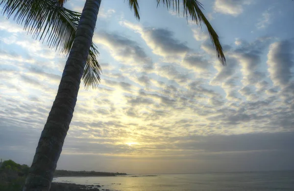 Piękny wschód słońca widać zza drzewa palm w miejscowości Pedasi w Panamie — Zdjęcie stockowe