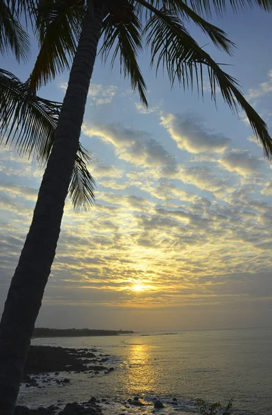 Piękny wschód słońca widać zza drzewa palm w miejscowości Pedasi w Panamie — Zdjęcie stockowe